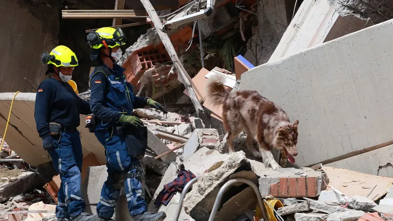 Perros se convierten en pieza clave para el rescate de supervivientes tras los sismos en Venezuela