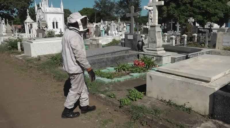Bomberos desplegarán 2 mil 800 efectivos para resguardar cementerios