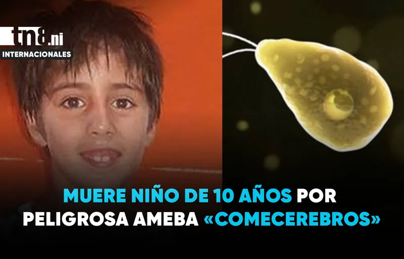 Muere un niño en Argentina por la ameba «comecerebros»
