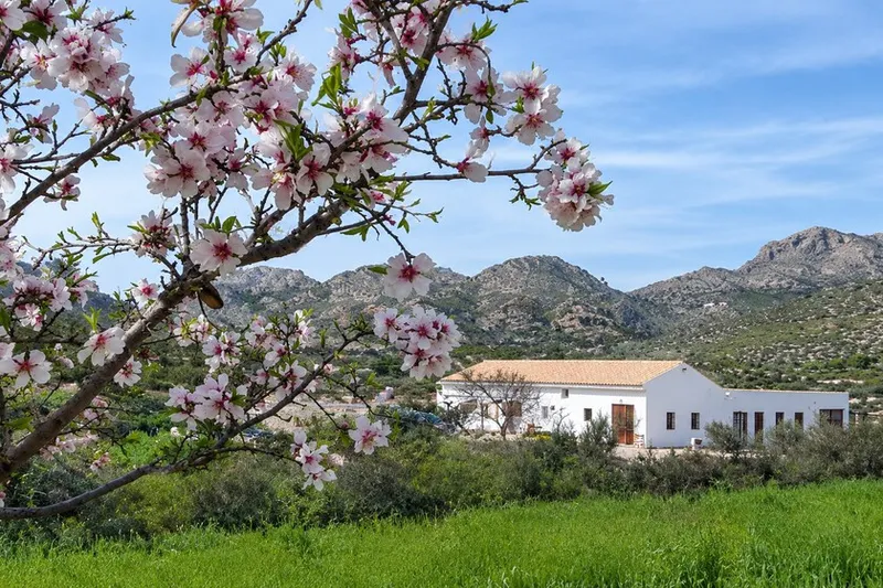 Se buscan voluntarios para vivir gratis en una casa con piscina cerca de Alicante, a cambio de mover heno y cuidar de dos caballos