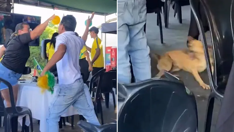 Perro celebra clasificación de Brasil ante Japón