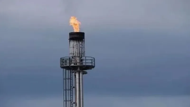 Julio Ohep: Venezuela debe ordenar su industria del gas antes de aspirar a grandes ingresos