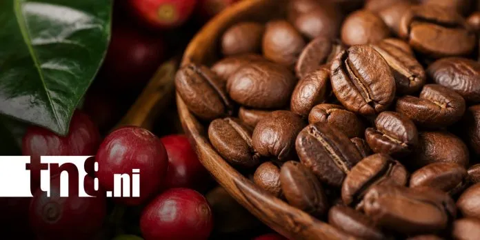 Histórico: café nicaragüense se dispara en subasta y rompe todos los récords