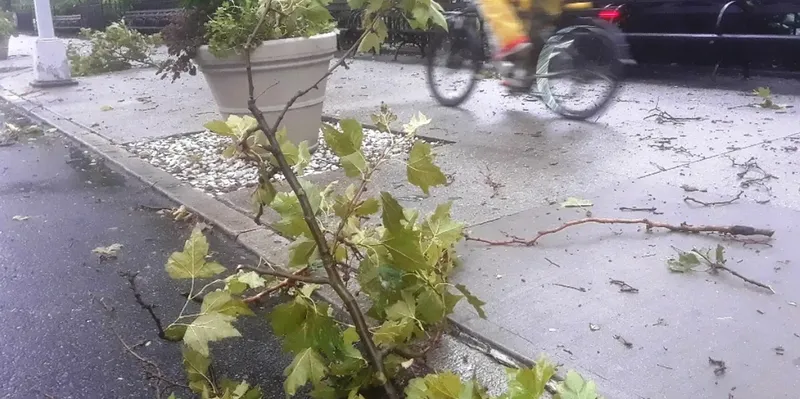 Clima extremo pone en alerta la final del Mundial 2026 en Nueva York