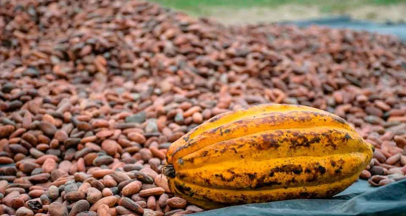 Exportadores proyectan siete rubros estratégicos de Monagas para el comercio internacional
