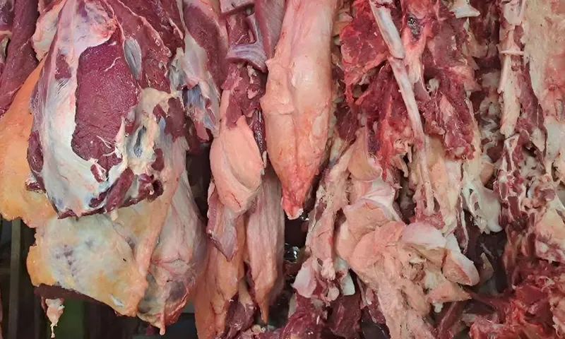 Sector pecuario produce 300 millones de libras de carne a agosto