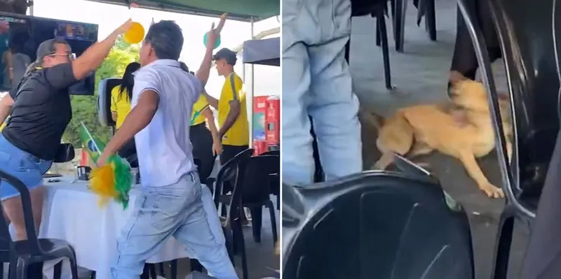 Perro celebra el gol de Brasil y conquista las redes durante el Mundial 2026...