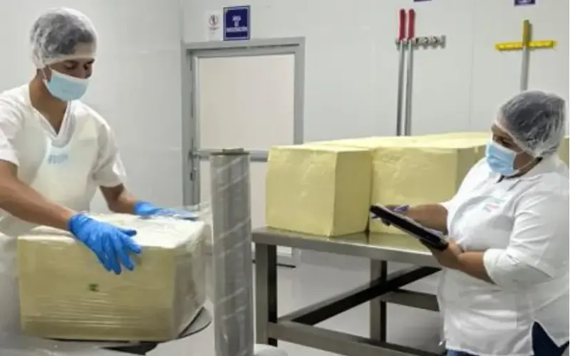Producción de queso y cuajada al mes de abril del 2026