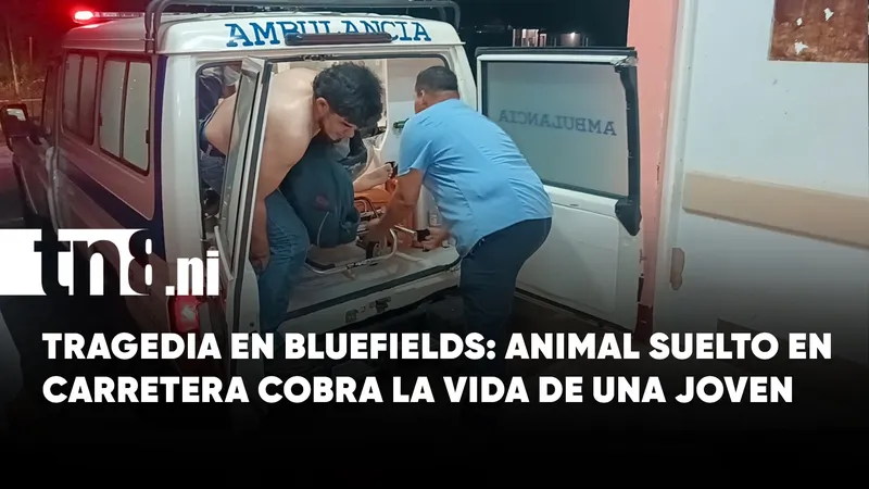 La irresponsabilidad de dejar animales sueltos cobra otra vida en Bluefields