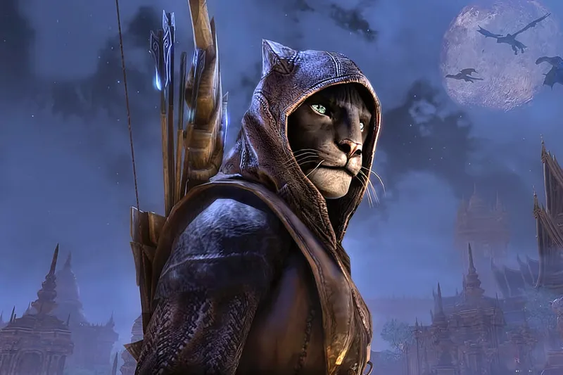 Si has jugado a The Elder Scrolls desde 2002, has visto su trabajo. Tras 27 años, XBOX la ha despedido aunque pensaba "jubilarse en Bethesda"