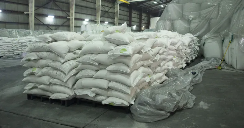 EEUU aumentará sus importaciones de azúcar de México: llegarán a 1,15 millones de toneladas métricas