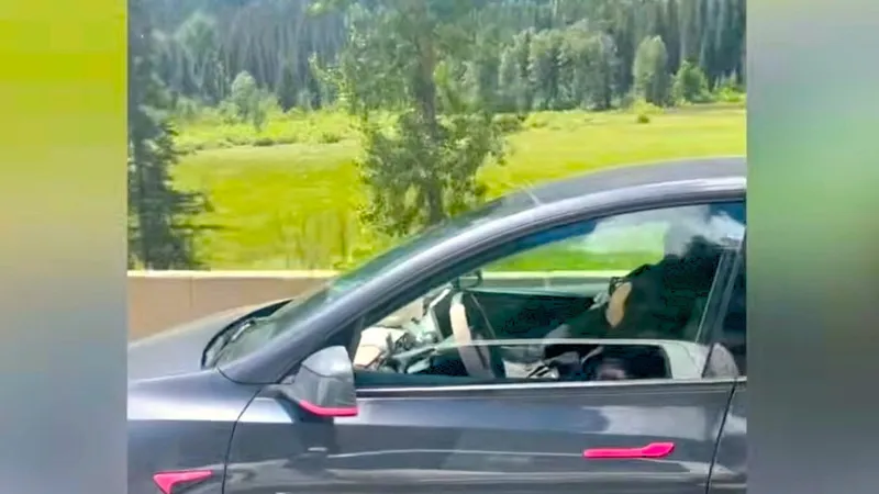 De 'siesta' a 100 km/h: el último fallo de Tesla, y el más peligroso