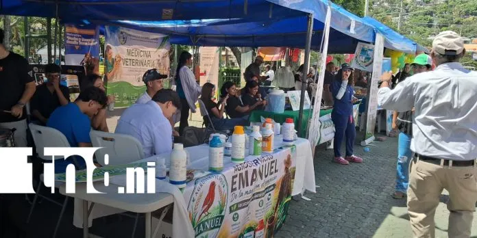 Festival del Campo reúne a jóvenes productores en Matagalpa