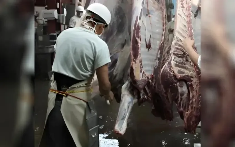 Carne Bovina Junio 2026