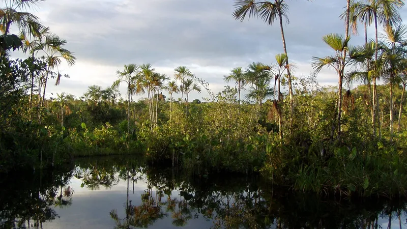 Altruismo en sitios olvidados: ¿Cómo la cultura y el voluntariado enfrentan la desatención de la Amazonía ecuatoriana?