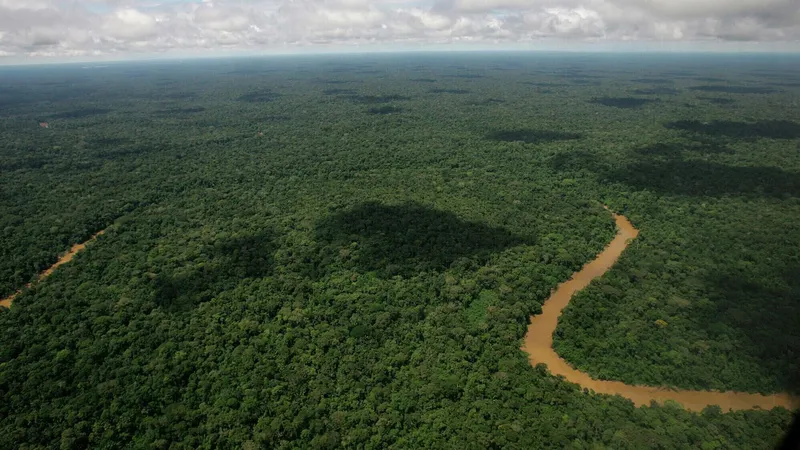 "Una nueva forma de colonialismo": colectivos en Ecuador cuestionan impacto medioambiental del capitalismo