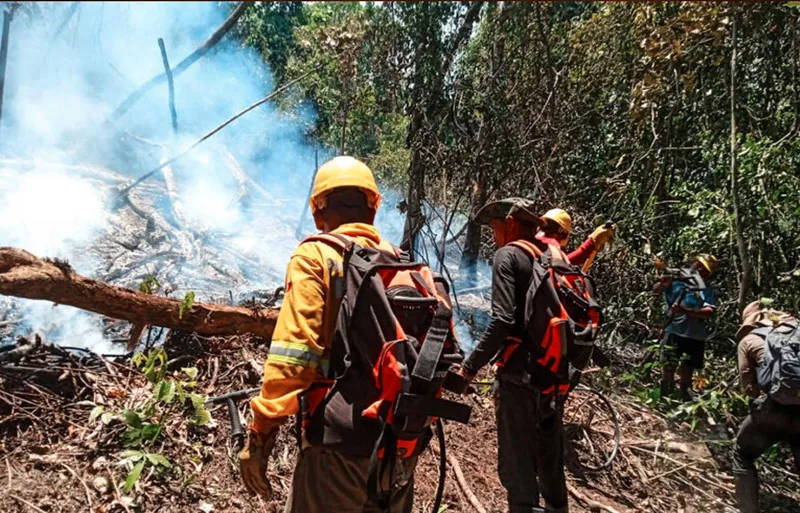 Perú registra 401 emergencias por incendios forestales y enfrenta graves daños ambientales