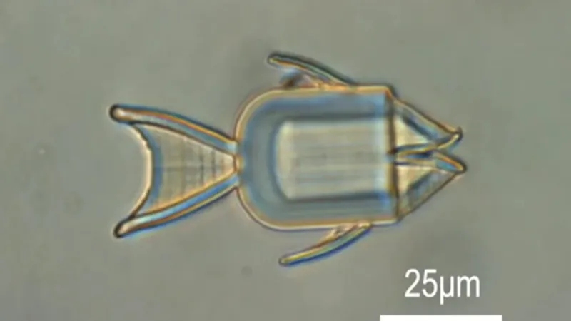 Microrrobots metálicos podrían realizar biopsias y administrar fármacos desde el interior del cuerpo