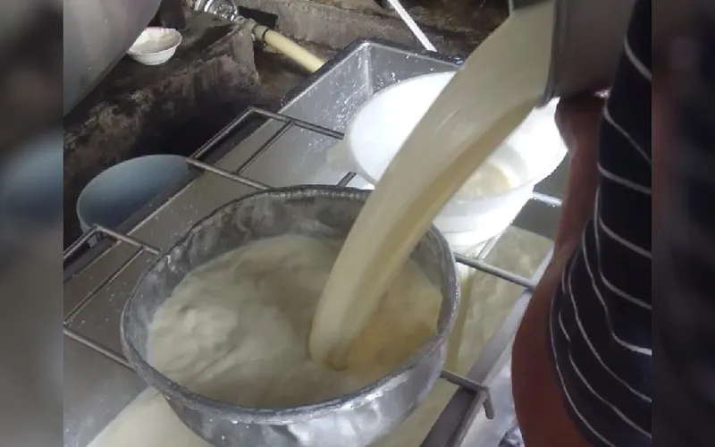 Producción de leche en fincas