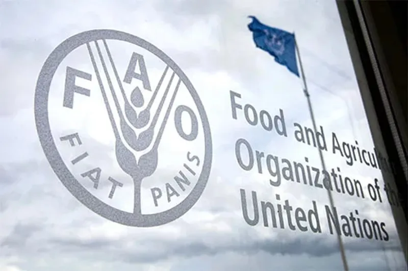 Nuevos intercambios sobre agua e inversiones agrícolas en foro de FAO