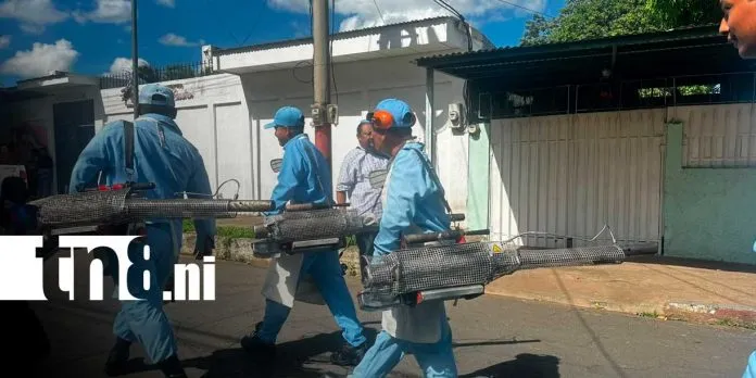 ¡A prevenir el dengue! Fumigan viviendas y eliminan criaderos en el barrio Marta Quezada
