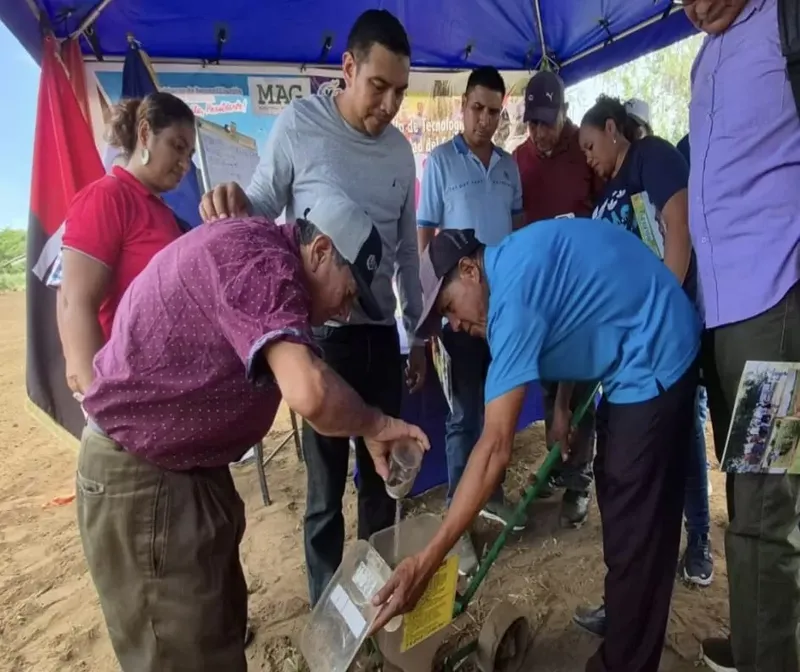 MAG promueve tecnología para fortalecer producción de ajonjonlí