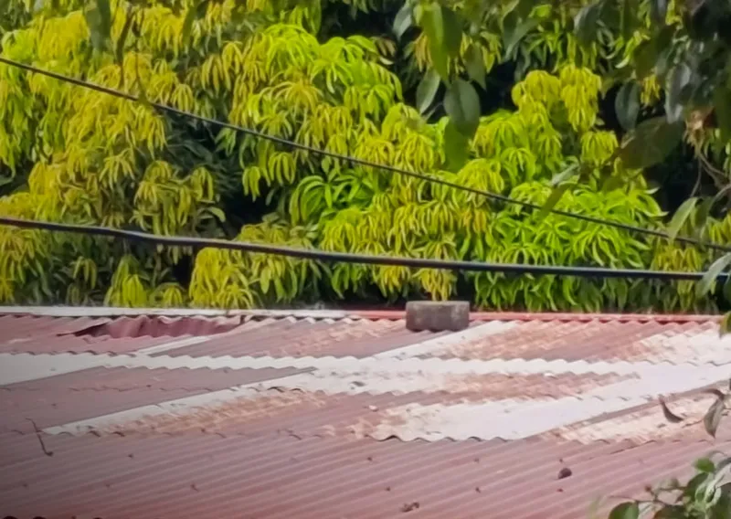 Hombre recién llegado de EEUU muere al caer de un techo en Managua