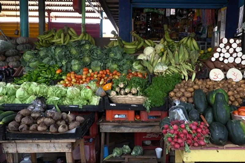 Leve incremento en los precios del repollo y el tomate en el mercado Israel Lewites