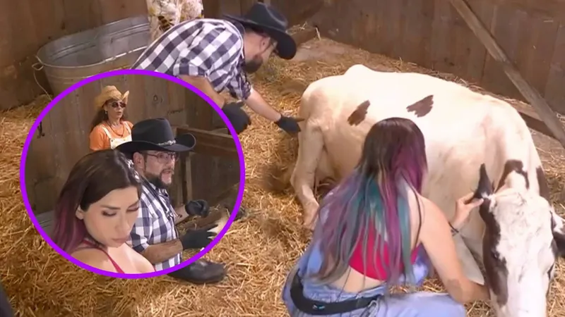 ¡Emergencia en ‘La Granja VIP’! Detectan PLAGA DE GARRAPATAS y prohiben consumo de leche