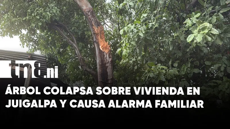 Rama de árbol cae sobre vivienda en Juigalpa y genera daños y alarma