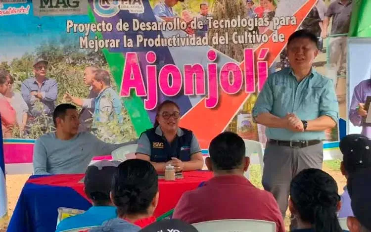 MAG promueve tecnologías para siembra y cultivo de ajonjolí