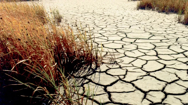 Honduras declara alerta roja en 75 municipios debido a sequía provocada por El Niño
