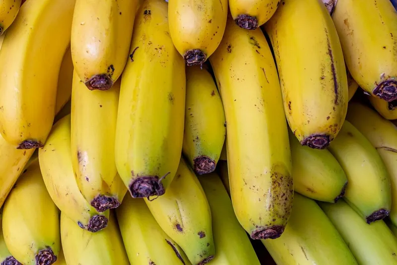 El banano ecuatoriano acelera sus exportaciones un 8,36% empujado por Europa y Rusia