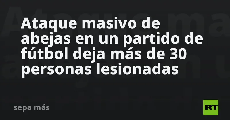 Ataque masivo de abejas en un partido de fútbol deja más de 30 personas lesionadas