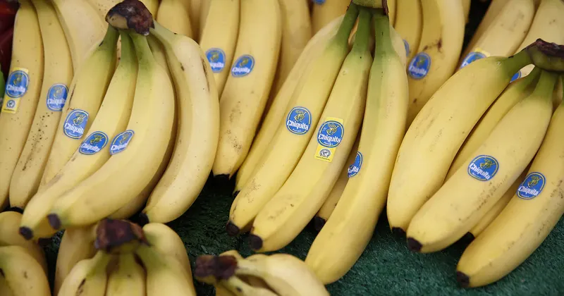 El Niño amenaza la oferta de banano y pone en riesgo sus bajos precios, alerta Chiquita