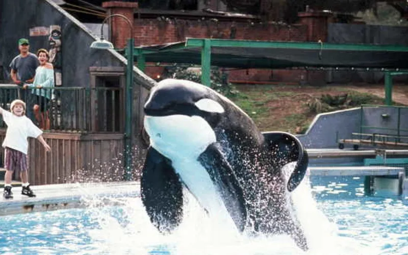 El reboot de 'Liberad a Willy' está en marcha en manos de los hermanos Russo