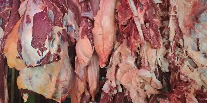 Producción de carne bovina supera las 213 millones de libras en Nicaragua