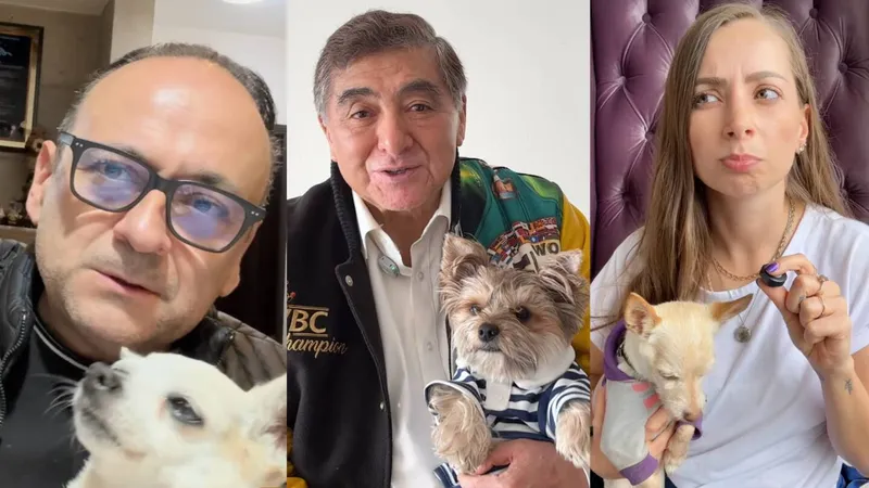 Famosos siguen sin aceptar las disculpas de Pedro Sola y usuarios logran suspender la cuenta de Pati Chapoy