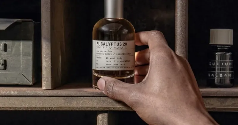 Chanel, Dior, Creed y más: 10 perfumes y lociones para regalar en Amor y Amistad 2026