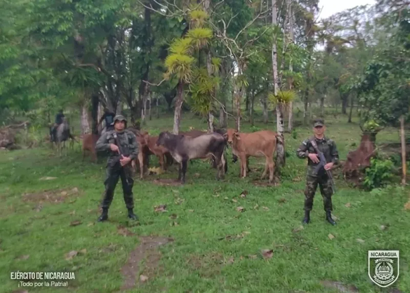 Destacamento militar sur del Ejército de Nicaragua retuvo a varios delincuentes en Río San Juan