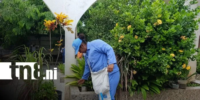 MINSA intensifica lucha contra el dengue con fumigación en el barrio Santa María