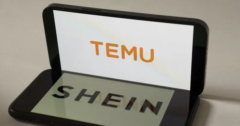 Efecto Shein y Temu: importaciones courier a Argentina rozaron un récord histórico en mayo