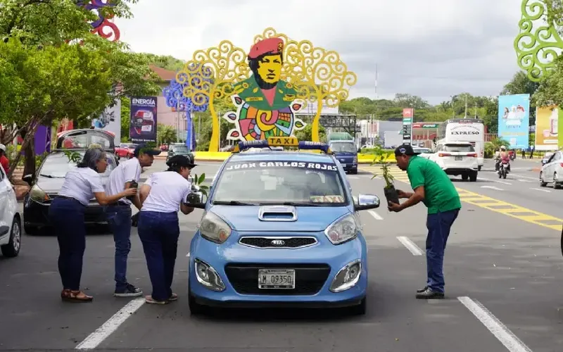 Exitosa entrega de plantas