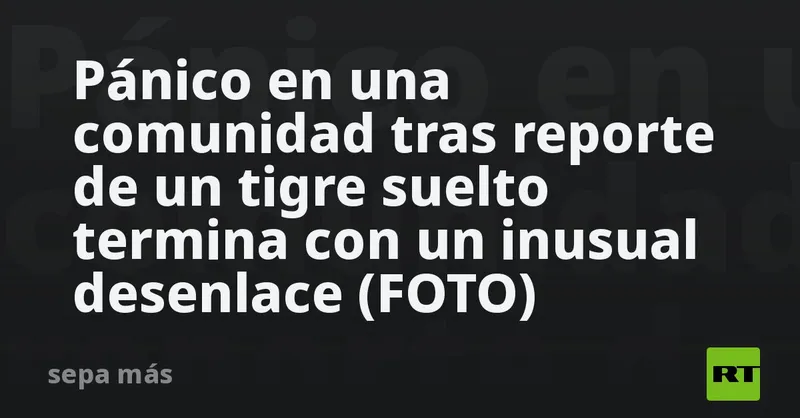 Pánico en una comunidad tras reporte de un tigre suelto termina con un inusual desenlace (FOTO)