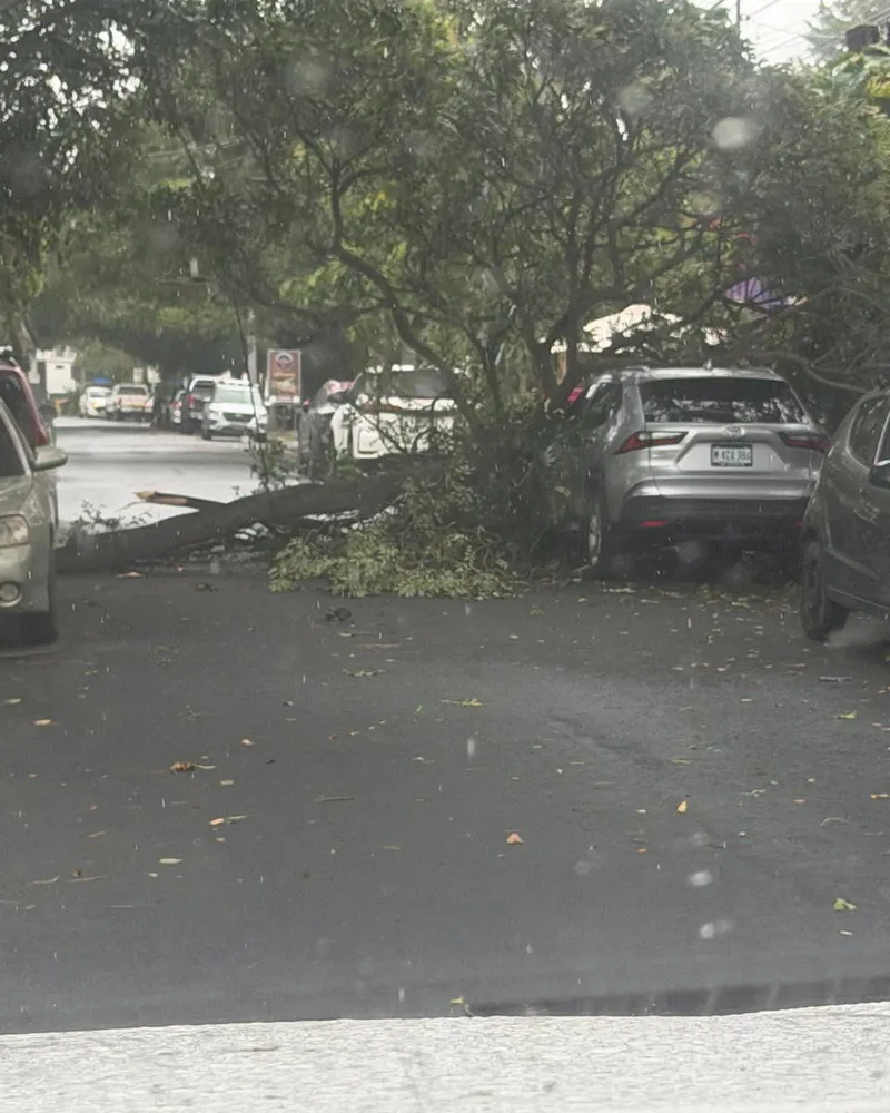 Fuertes vientos y lluvias causan caída de árboles, así como el desbordamiento de ríos en Nicaragua