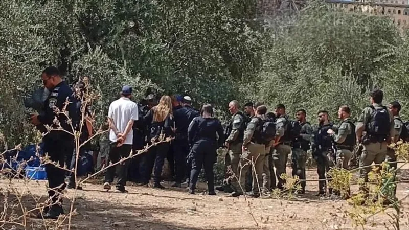 Colonos israelíes atacan viviendas y olivares palestinos en Cisjordania