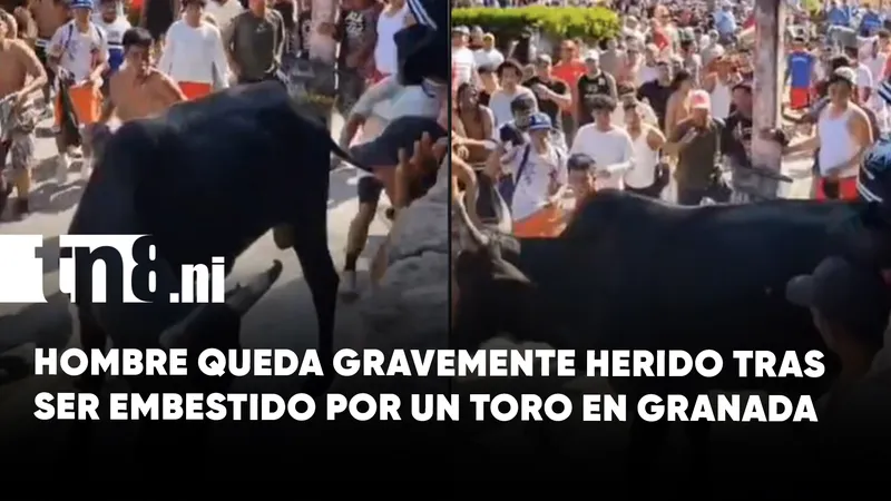 Cornada durante el Tope de Toros deja a hombre luchando por su vida en...