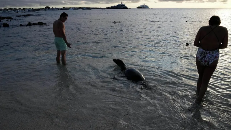 Ecuador desafía la inseguridad: la apuesta por recuperar la confianza del turista internacional