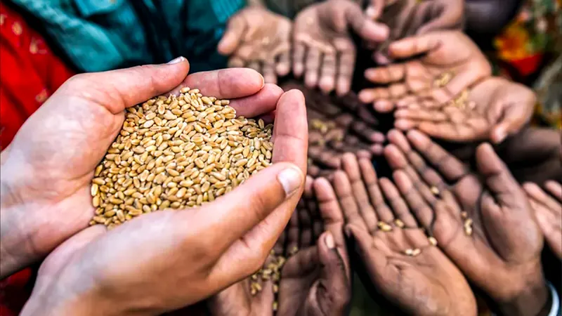Europa se encamina a una crisis alimentaria sin precedentes