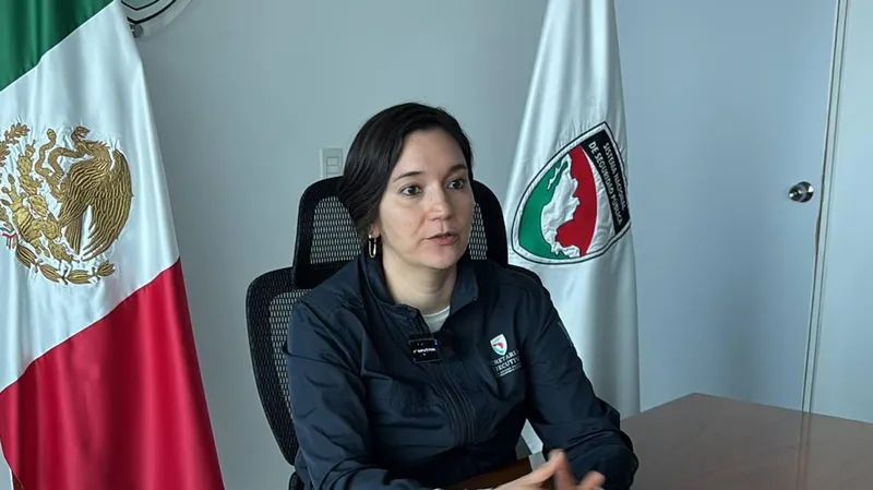 México impulsa un "trabajo policial científico", dice encargada del órgano que coordina la seguridad